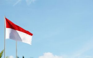 Indonesia SIM Card